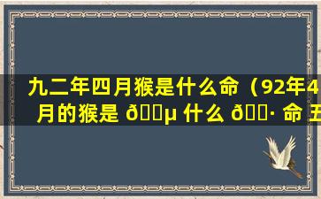 九二年四月猴是什么命（92年4月的猴是 🐵 什么 🕷 命 五行属什么）